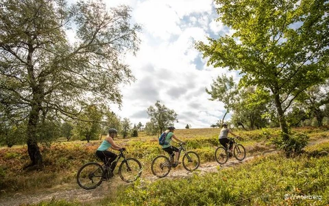 Fahrradfahrer in Winterberg