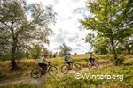 Fahrradfahrer in Winterberg